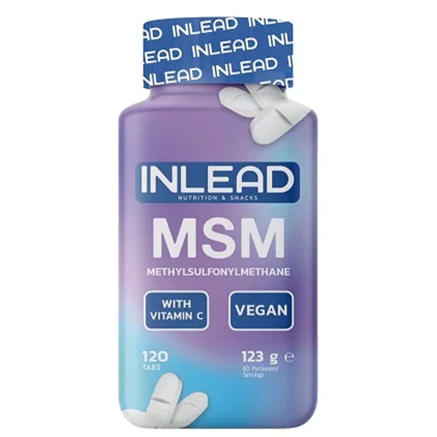 INLEAD MSM + Vitamins 120 Kapseln