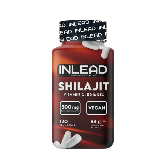 INLEAD Shilajit 500mg - 120 Kapseln