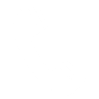 +49 163 7565838